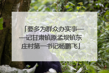 要多为群众办实事——记甘肃镇原孟坝镇东庄村第一书记杨鹏飞