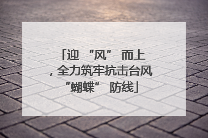 迎 “风” 而上，全力筑牢抗击台风 “蝴蝶” 防线