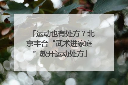 运动也有处方？北京丰台“武术进家庭”教开运动处方