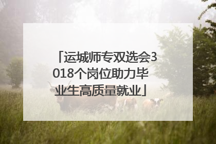 运城师专双选会3018个岗位助力毕业生高质量就业