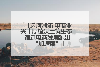 运河潮涌 电商业兴丨厚植沃土筑生态 宿迁电商发展跑出“加速度”