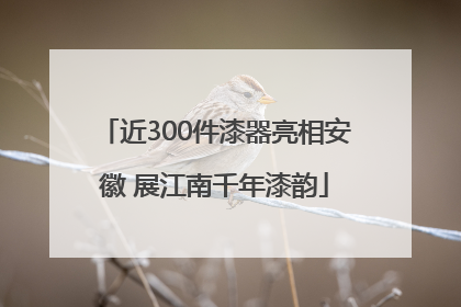 近300件漆器亮相安徽 展江南千年漆韵