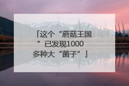 这个“蘑菇王国”已发现1000多种大“菌子”
