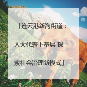连云港新海街道：人大代表下基层 探索社会治理新模式