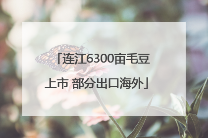 连江6300亩毛豆上市 部分出口海外