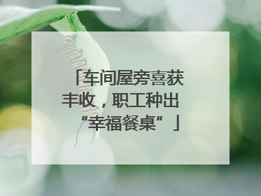 车间屋旁喜获丰收，职工种出“幸福餐桌”