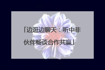 边逛边聊天：听中非伙伴畅谈合作共赢