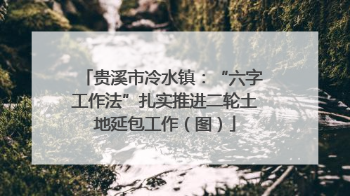 贵溪市冷水镇：“六字工作法”扎实推进二轮土地延包工作（图）