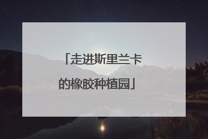 走进斯里兰卡的橡胶种植园
