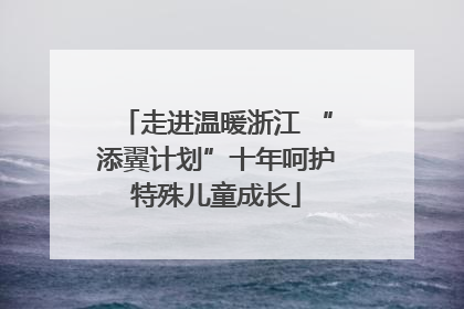 走进温暖浙江 “添翼计划”十年呵护特殊儿童成长