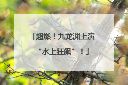 超燃！九龙渊上演“水上狂飙”！