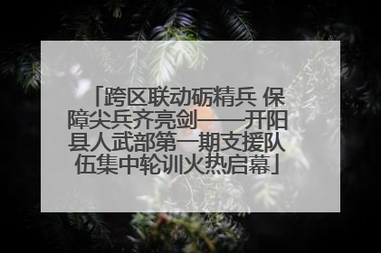 跨区联动砺精兵 保障尖兵齐亮剑——开阳县人武部第一期支援队伍集中轮训火热启幕