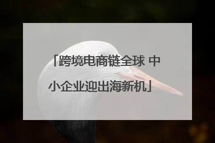 跨境电商链全球 中小企业迎出海新机