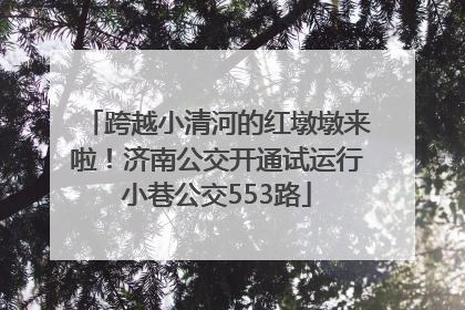 跨越小清河的红墩墩来啦！济南公交开通试运行小巷公交553路