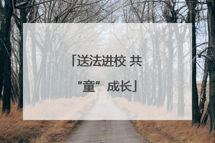 送法进校 共“童”成长
