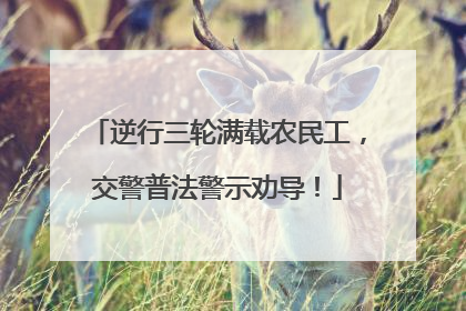 逆行三轮满载农民工，交警普法警示劝导！
