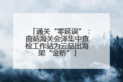 通关“零延误”：曲靖海关会泽集中查检工作站为云品出海架“金桥”