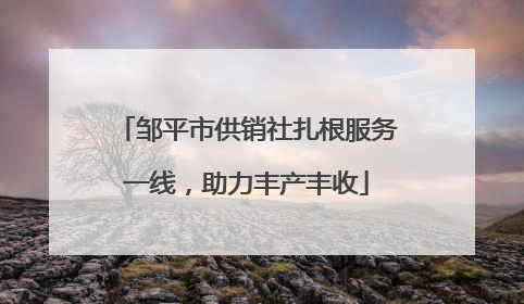邹平市供销社扎根服务一线，助力丰产丰收
