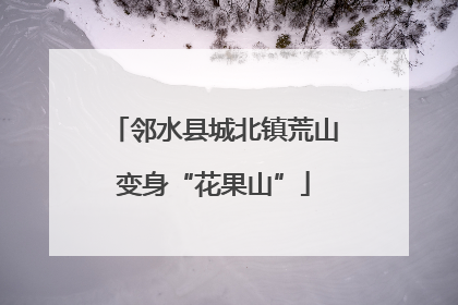 邻水县城北镇荒山变身“花果山”