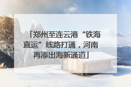 郑州至连云港“铁海直运”线路打通，河南再添出海新通道