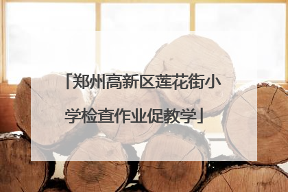 郑州高新区莲花街小学检查作业促教学