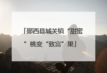郧西县城关镇“甜蜜”桃变“致富”果