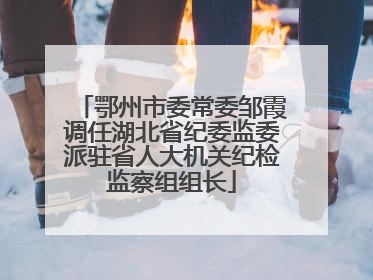 鄂州市委常委邹霞调任湖北省纪委监委派驻省人大机关纪检监察组组长