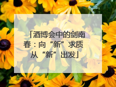 酒博会中的剑南春：向“新”求质 从“新”出发