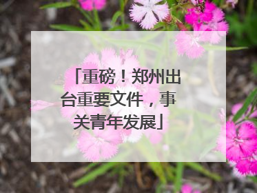 重磅！郑州出台重要文件，事关青年发展