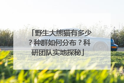 野生大熊猫有多少？种群如何分布？科研团队实地探秘