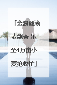 金浪翻滚麦飘香 乐至4万亩小麦抢收忙