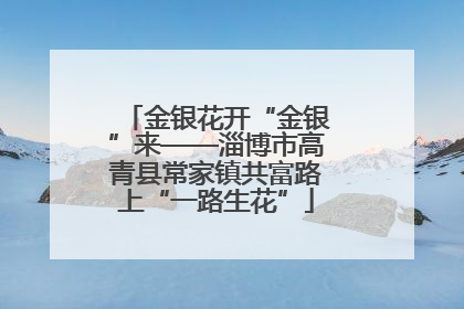 金银花开“金银”来——淄博市高青县常家镇共富路上“一路生花”