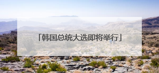韩国总统大选即将举行