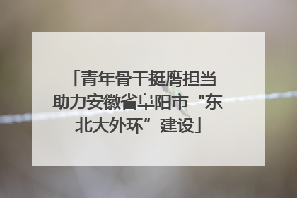 青年骨干挺膺担当 助力安徽省阜阳市“东北大外环”建设