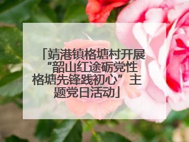 靖港镇格塘村开展“韶山红途砺党性 格塘先锋践初心”主题党日活动