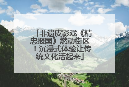 非遗皮影戏《精忠报国》燃动街区！沉浸式体验让传统文化活起来