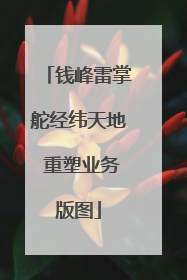 钱峰雷掌舵经纬天地 重塑业务版图