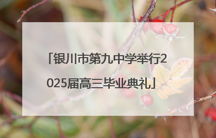银川市第九中学举行2025届高三毕业典礼