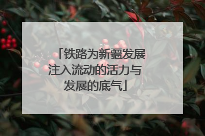 铁路为新疆发展注入流动的活力与发展的底气