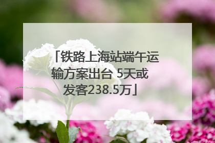 铁路上海站端午运输方案出台 5天或发客238.5万