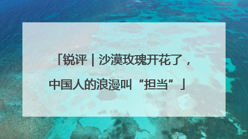 锐评｜沙漠玫瑰开花了，中国人的浪漫叫“担当”