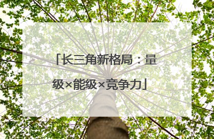 长三角新格局：量级×能级×竞争力