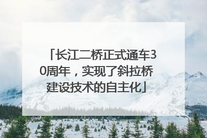 长江二桥正式通车30周年，实现了斜拉桥建设技术的自主化