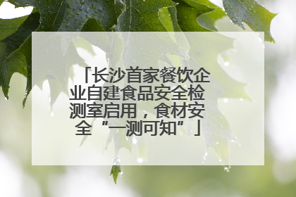 长沙首家餐饮企业自建食品安全检测室启用，食材安全“一测可知”