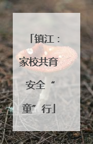 镇江：家校共育 安全“童”行