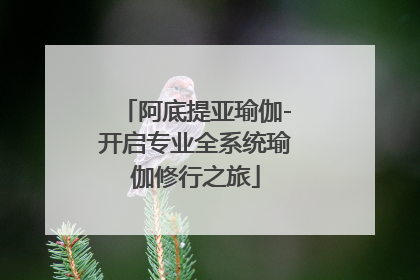阿底提亚瑜伽-开启专业全系统瑜伽修行之旅