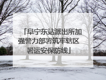 阜宁东站派出所加强警力部署筑牢辖区暑运安保防线
