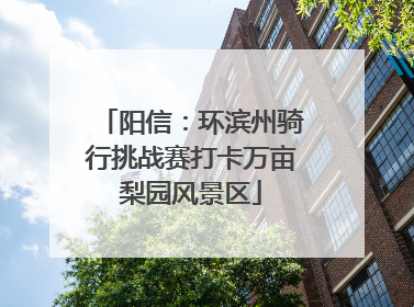 阳信：环滨州骑行挑战赛打卡万亩梨园风景区