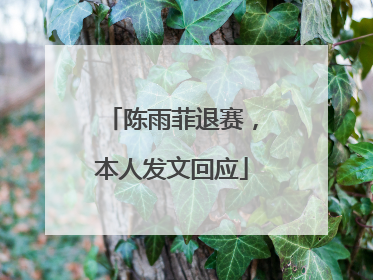 陈雨菲退赛，本人发文回应