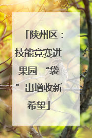 陕州区：技能竞赛进果园 “袋”出增收新希望